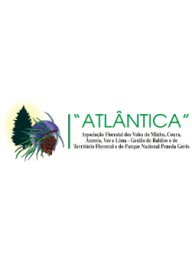 Associação Florestal Atlântica