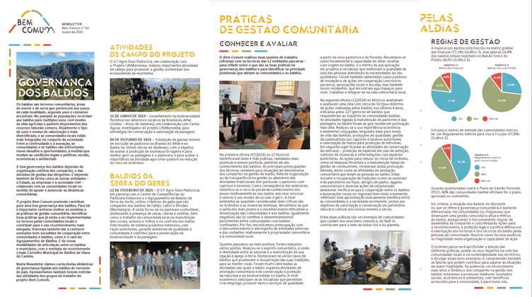 2ª Newsletter