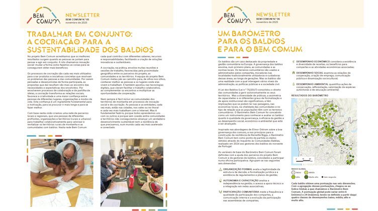 5ª e 6ª Newsletter